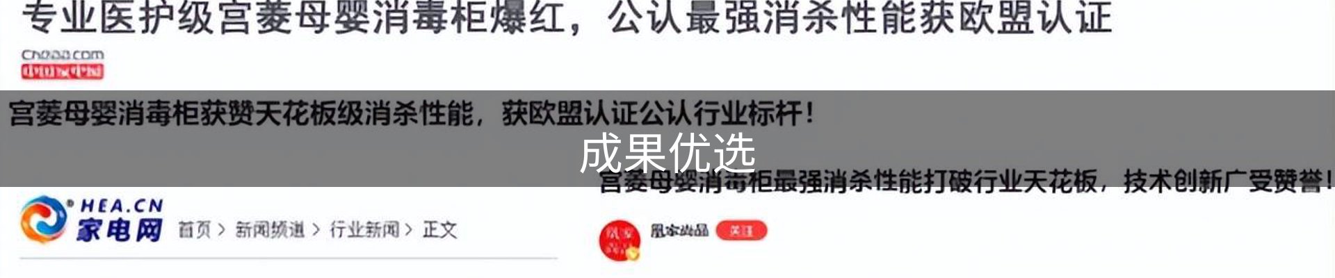 成果优选